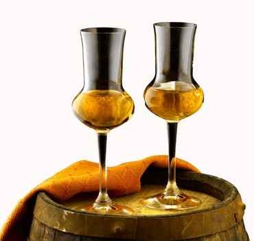 Grappa di Barolo - 40%